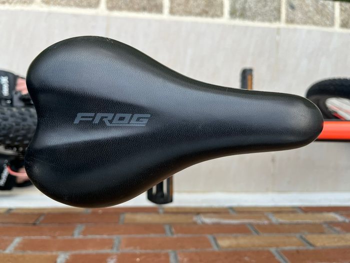 Frog Mountain Bike