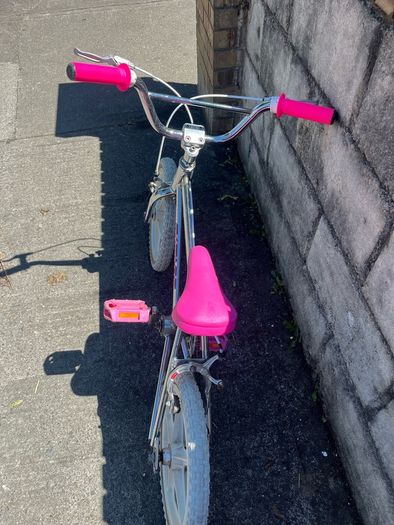 raleigh burner kids bike