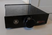 Temple Audio Bantam Gold