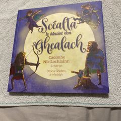 Irish language children's book