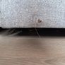 Sofa Image 6