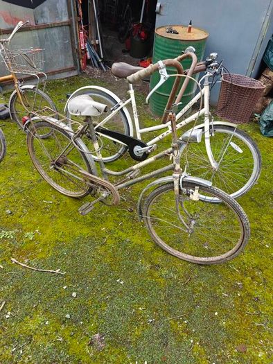 vintage and old bikes