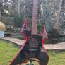 B.c rich sob Image 3