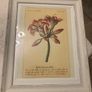 Set of Floral Prints Image 4