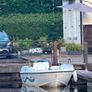 Boat Image 6