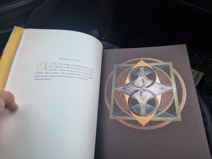 Healing Creations by Patricia Fitzgerald [Hardback]
