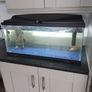 fish tank Image 3