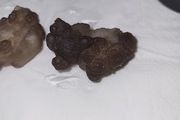 Grey kidney shaped agate  6 euro each