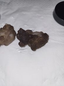 Grey kidney shaped agate euro