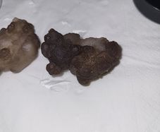 Grey kidney shaped agate  6 euro each