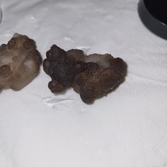 Grey kidney shaped agate euro