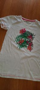 Regatta Great Outdoors Tee Shirt Age 13 New