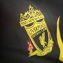 Vintage Liverpool FC 2008-2010 Adidas Heavy Training / Rain Jacket WORN ONCE Mint Condition Image 4