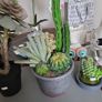 Artificial plants Image 5