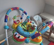 Baby Einstein Jumperoo