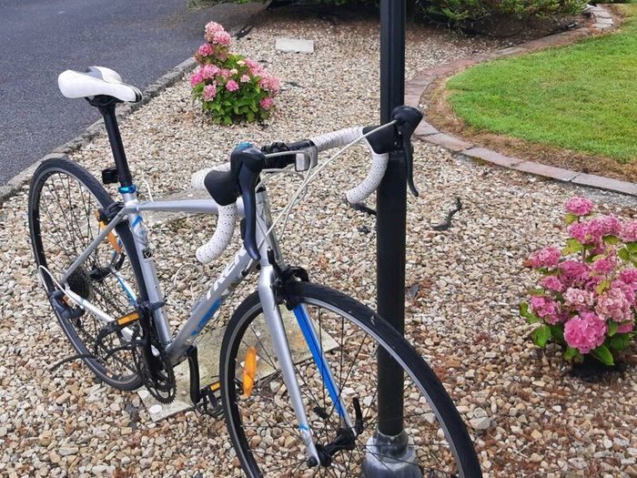 Ladies bike