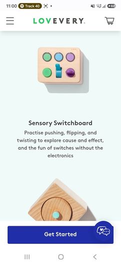 Lovevery The Thinker Play Guide 11-12 Months