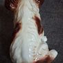 SylVac Cocker Spaniel Image 5