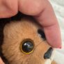 Ty Cecil the Lion Plush approx. 6" Used Please see pictures Image 5