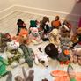 Beanie Baby Collection!! Image 2