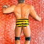 Ultra Rare LJN 1987 Wrestling Superstars Jumping Jim Brunzell Image 7