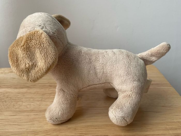 Our generation Puppy Teddy