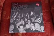 Lp Liam Gallagher C'mon You Know Lp Brand New