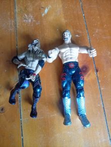 wrestlers x2