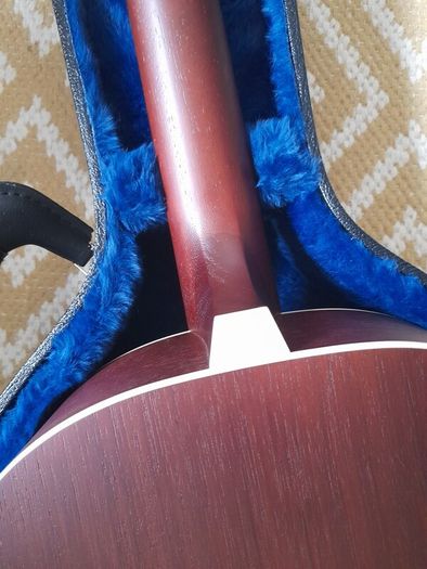 Iris Guitar Company Og All Mahogany