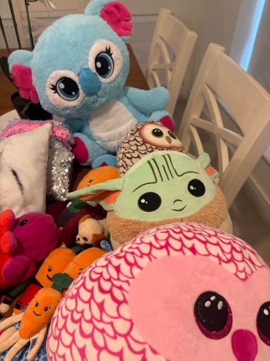 Squish teddy's and other teddys