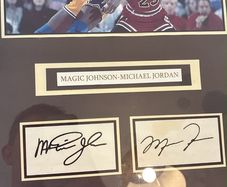 basketball  wall display