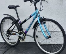 Female Raleigh Bike