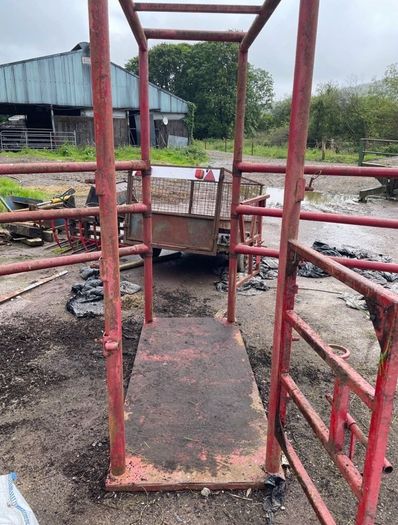 Horse Stocks