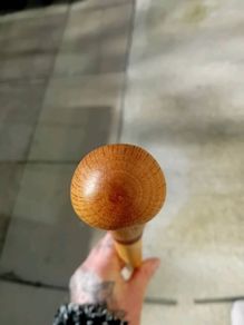 Walking stick