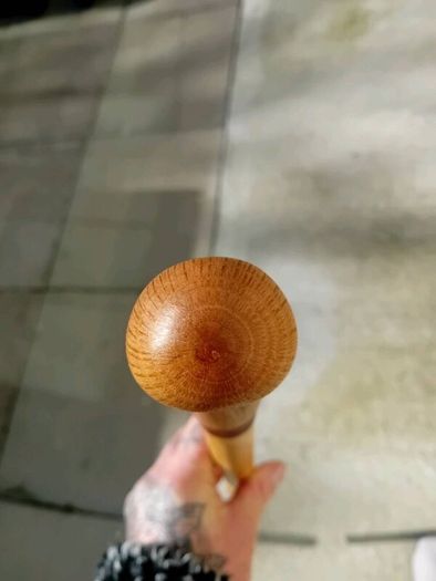 Walking stick