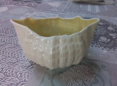 Beleek Double SidedGravy Boat