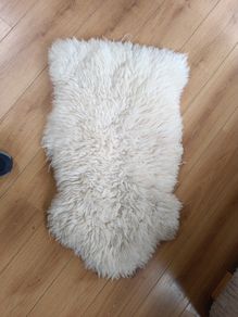 rug