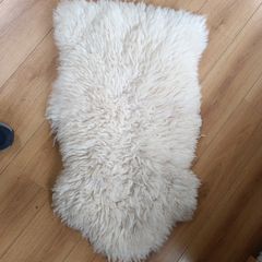 rug