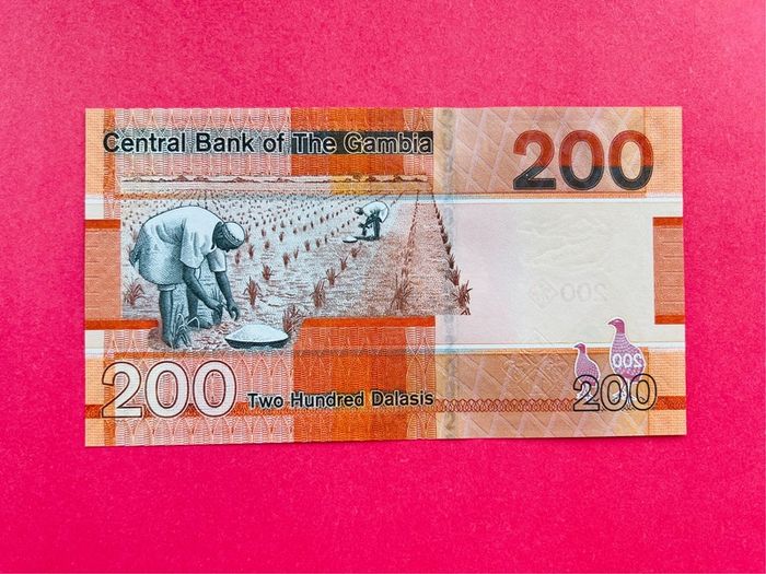 Gambia.  200  Dalasis. 2019   Pick 42a  ( Uncirculated )