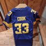 Vikings Jersey Image 2