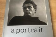 James Dean: A Portrait - Roy Schatt Photography Book (1986 Softcover)
