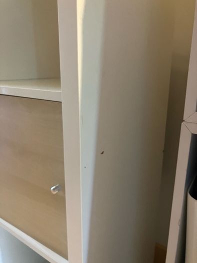 Kallax shelving unit