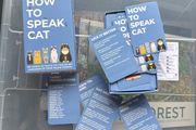'how to speak cat' cards