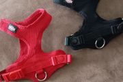 dog harness x2
