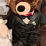Build a bear workshop bride and groom Image 4