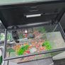 Fish Tank 30l Image 3
