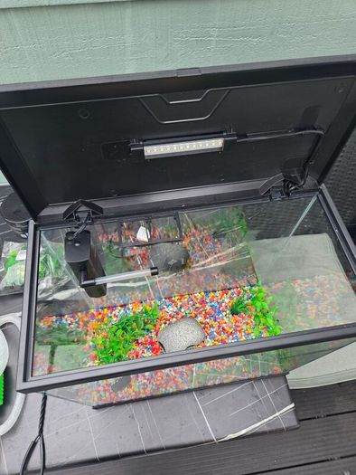 Fish Tank 30l