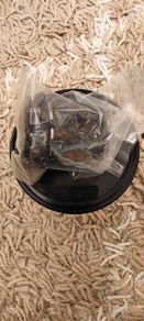 Hunt Trailwide V1 HG Freehub