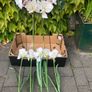 Faux flowers Image 3
