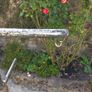 Antique Cast Iron upcycled Plant Hanger/Bird Feeder Image 5